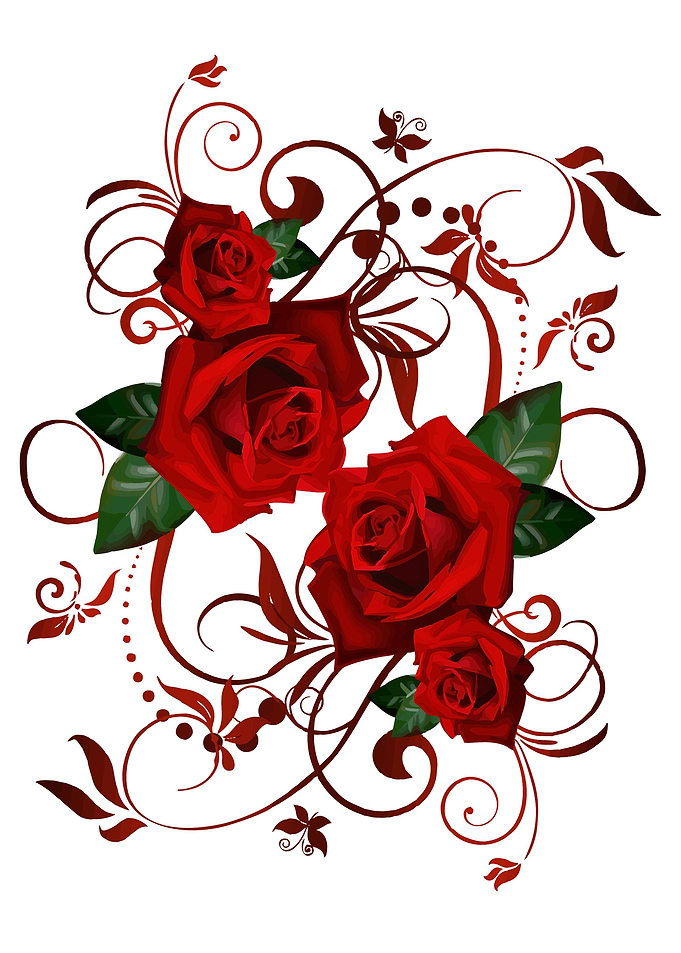 red roses