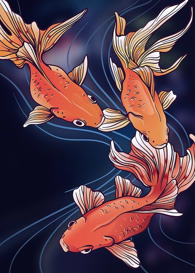 3 Gold Fish