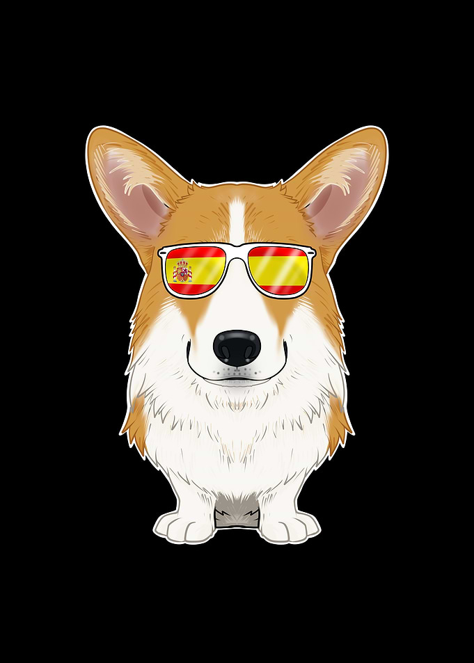 Welsh Corgi I Spain