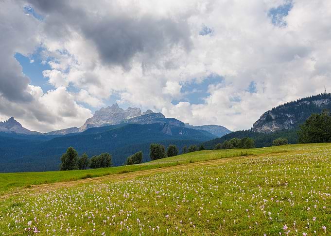 Campo Cortina
