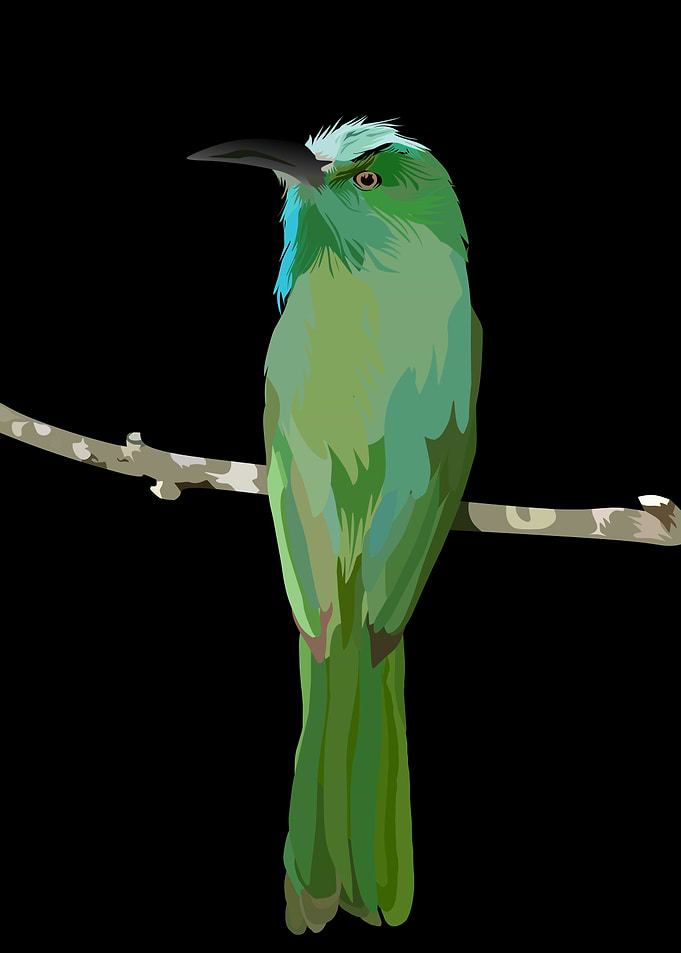 the bird roosted in vector