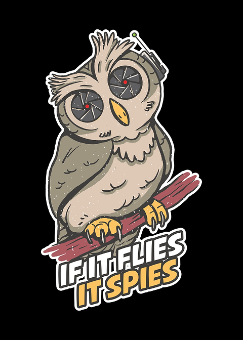 If It Flies It Spies
