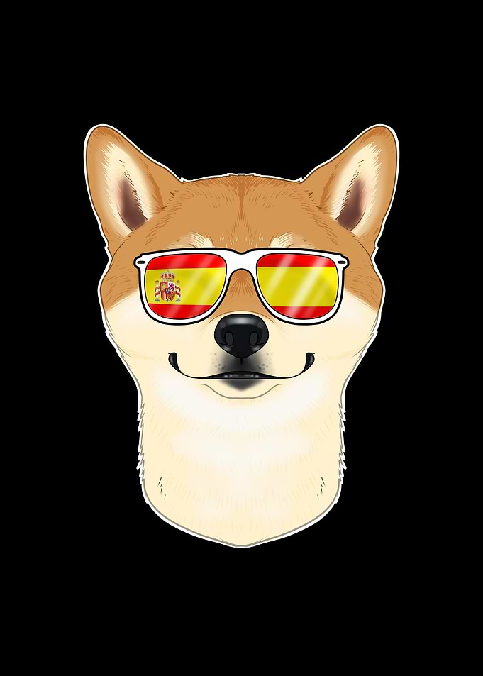 Shiba Inu I Spain