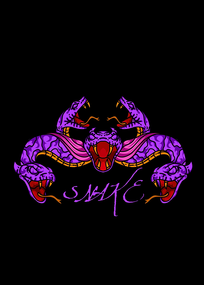 dragon snake illustration