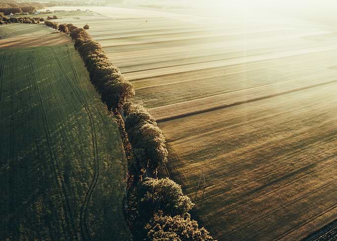 Over the fields