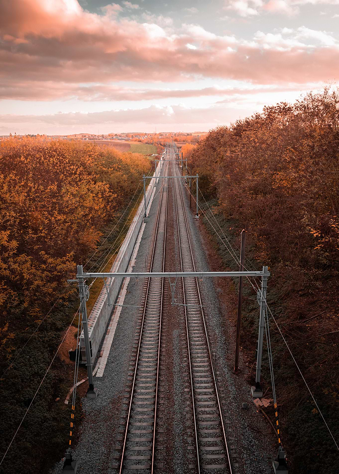 rails and trees