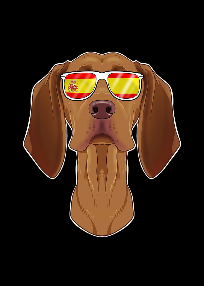 Vizsla I Spain Sunglasses
