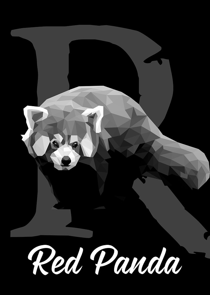 Red Panda