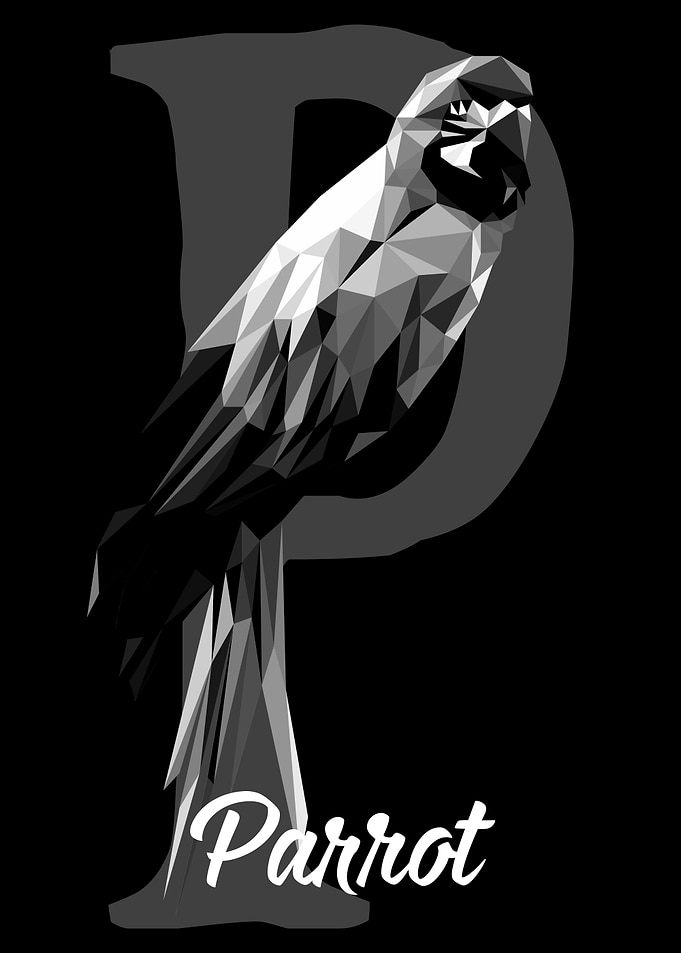 Parrot
