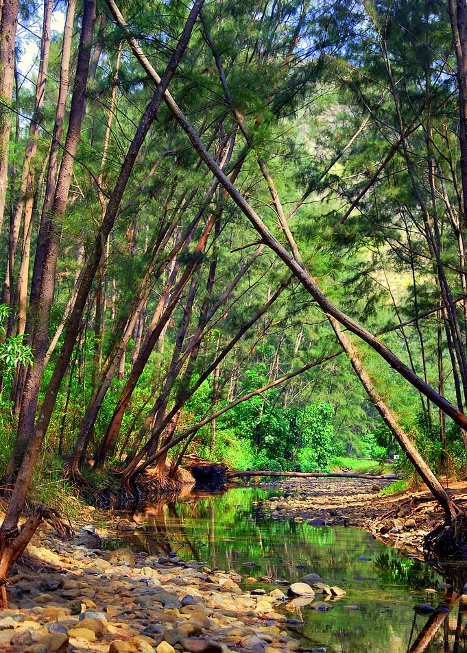 Anawangin in Zambales