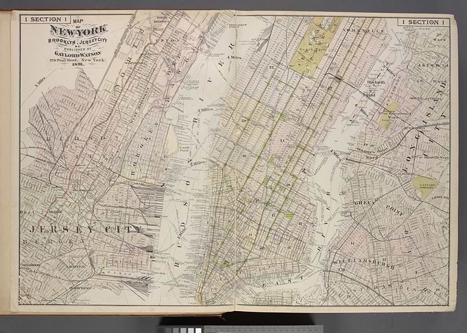 Map of New York 1891