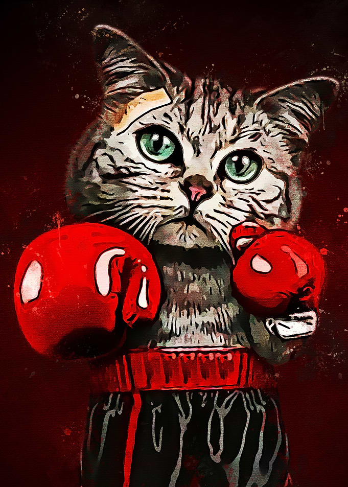 Cute Cat