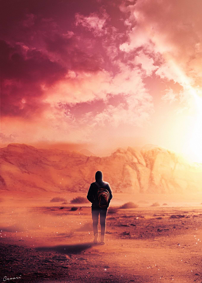 Desert Dreams