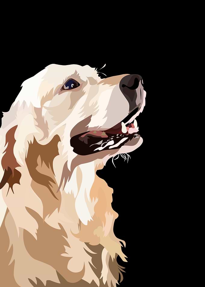 Pet dog in vector style