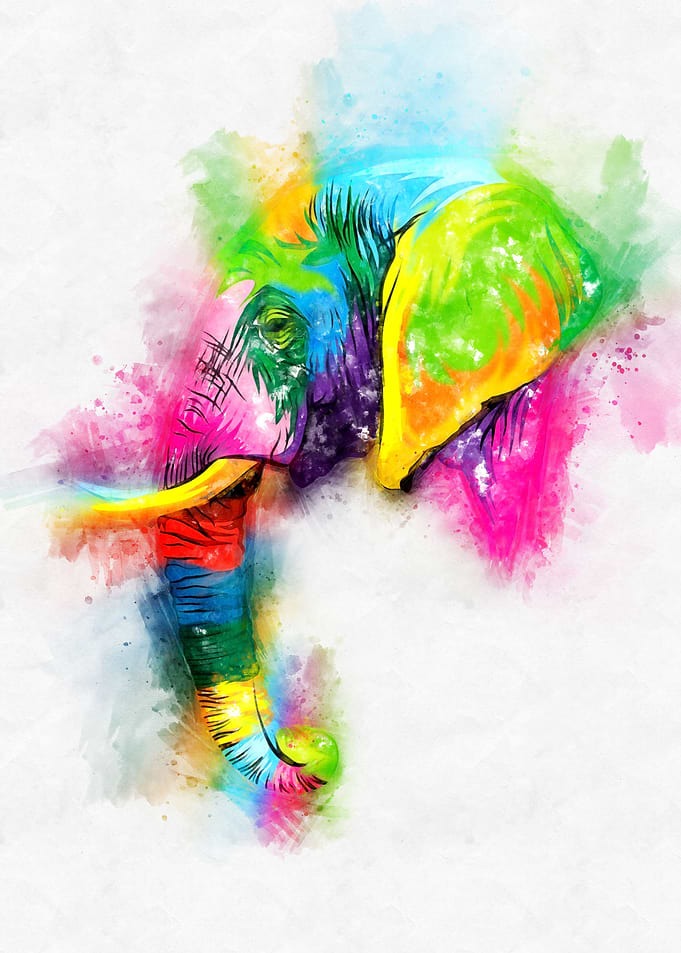 Elephant Head Watercolor
