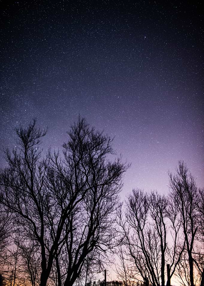 Night Sky