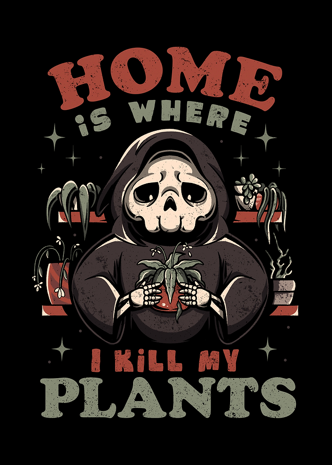Home