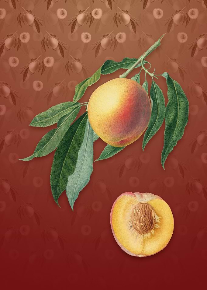Vintage Peach on Falu Red