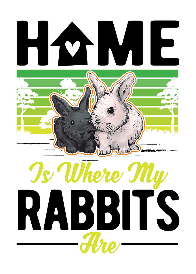 Rabbit Stable Bunny