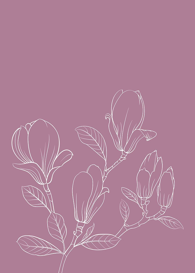 Magnolia Flower