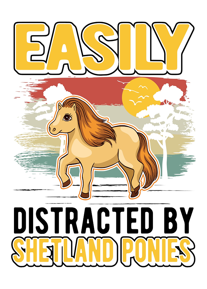 Shetland Pony Shetty