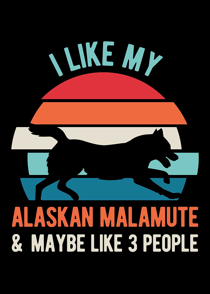 Funny Alaskan Malamute Dog