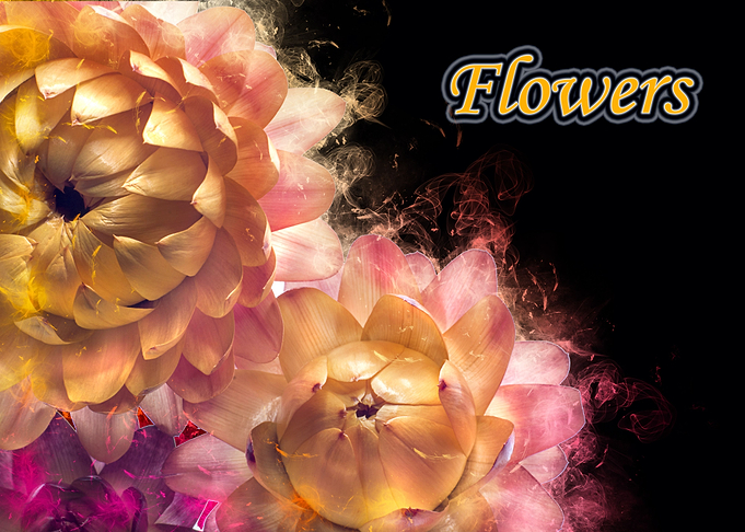 flower blossom