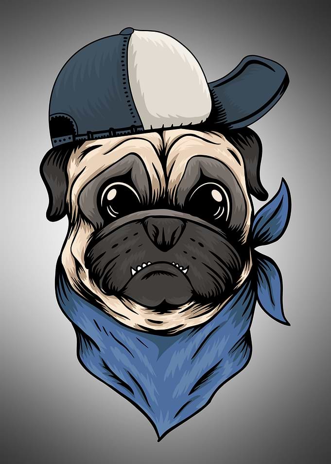 Funk dog
