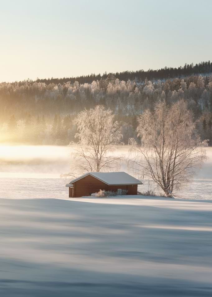 Winters Dream