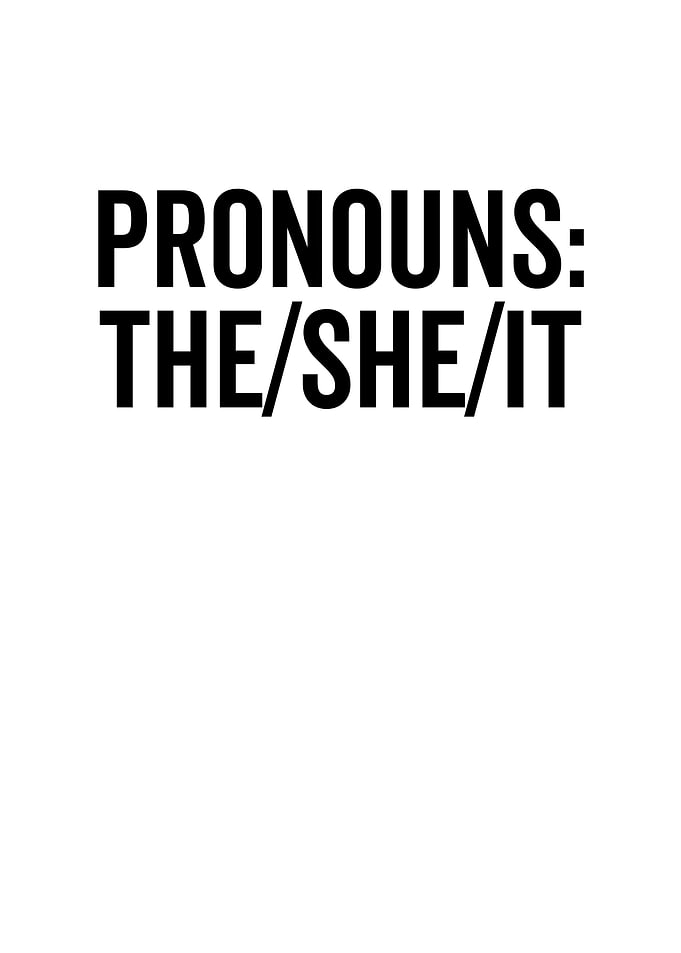 Pronouns TheSheIt