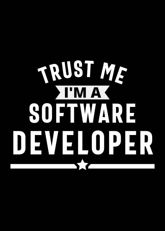 SOFTWARE DEVELOPER