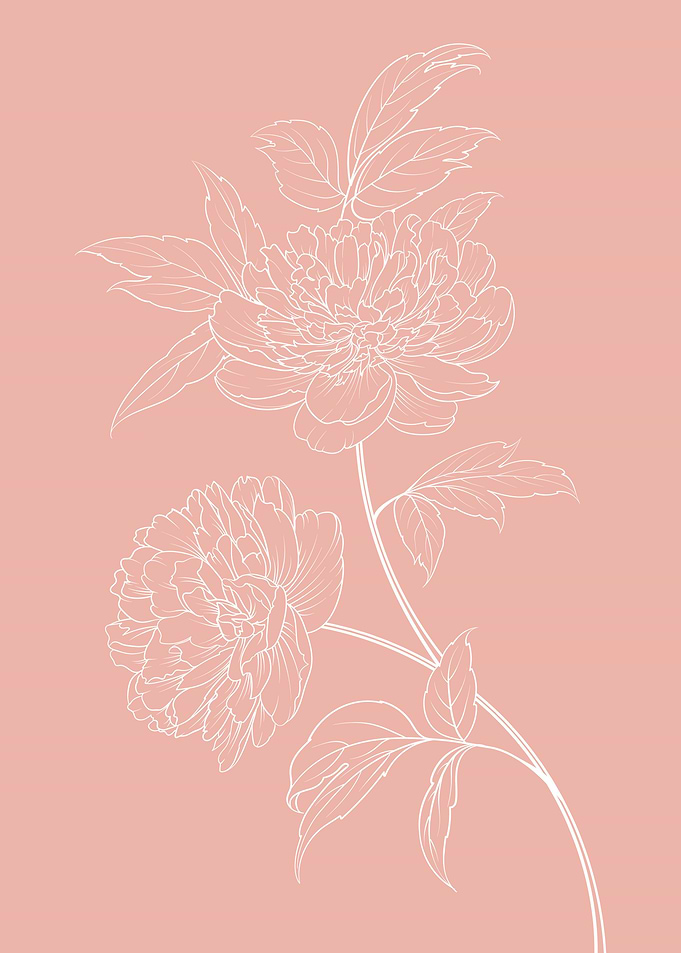 Peony Flower