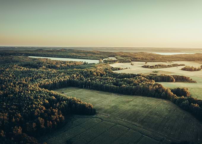 Golden Landscape