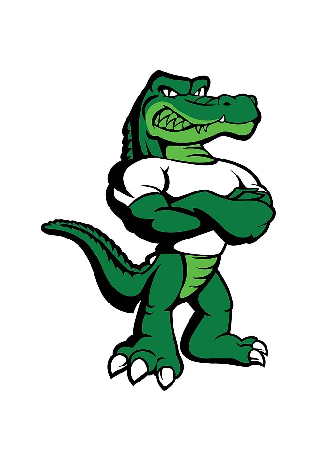 Crocodile