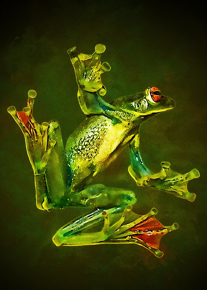Green Frog