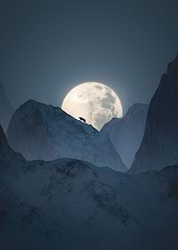 Black Panther in Moonlight
