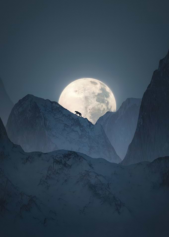Black Panther in Moonlight