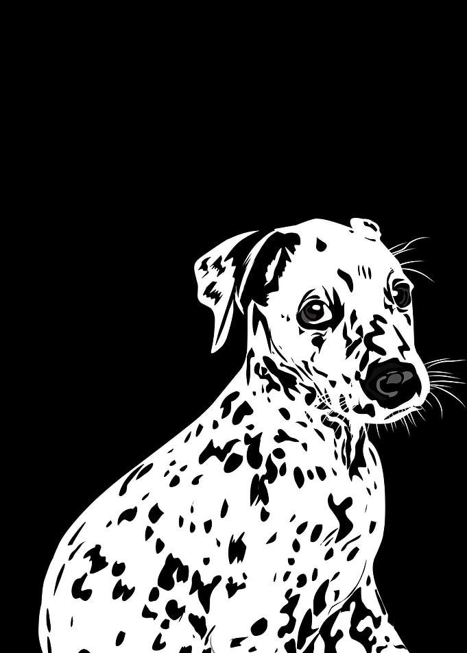 Dalmatian dog in vector