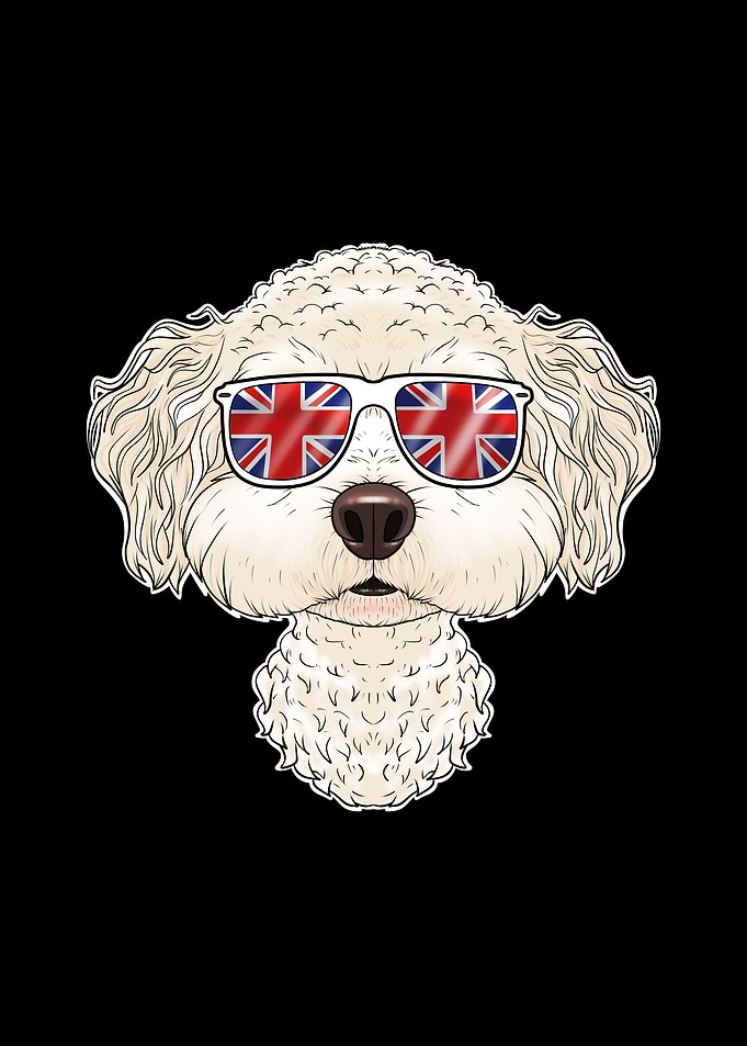 Bichon Frise UK Sunglasses