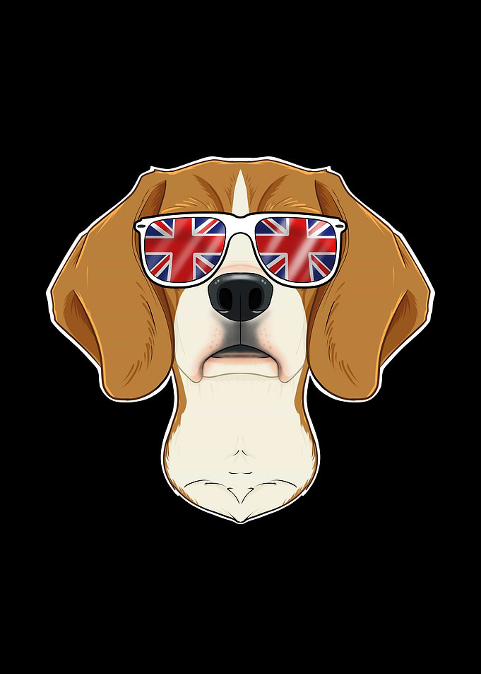 Beagle UK Sunglasses