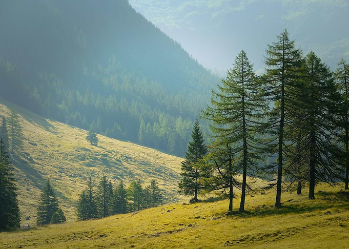 Highlands