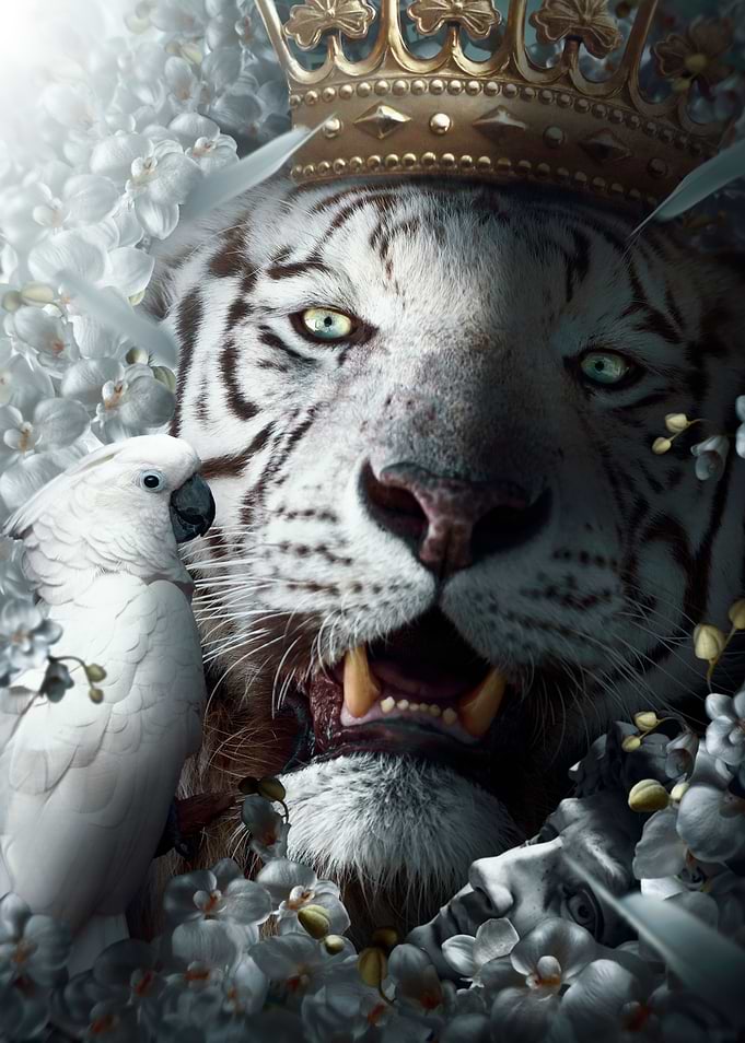 Tiger king art poster