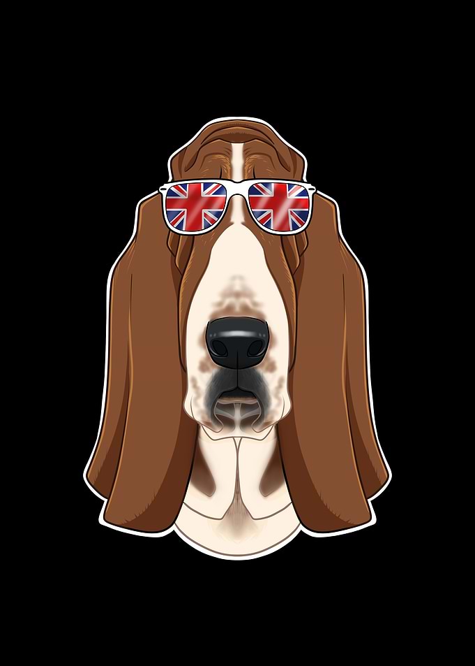 Basset Hound UK Sunglasses