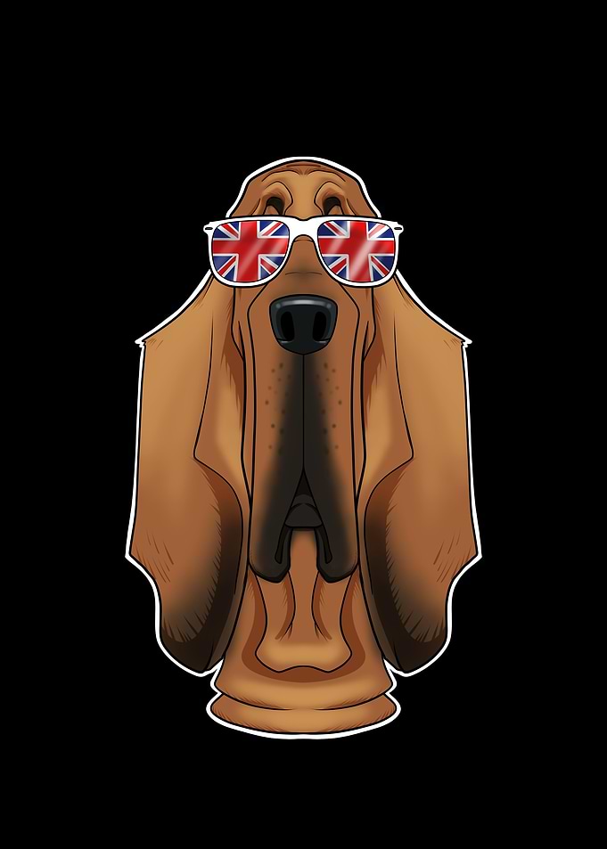 Bloodhound UK Sunglasses
