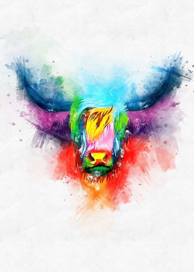 Highland Cow Head