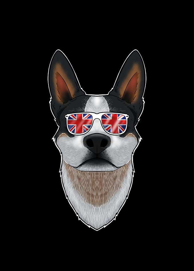 Australian Cattle Dog UK