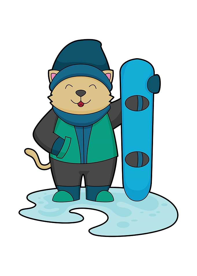 Cat Snowboard Sports