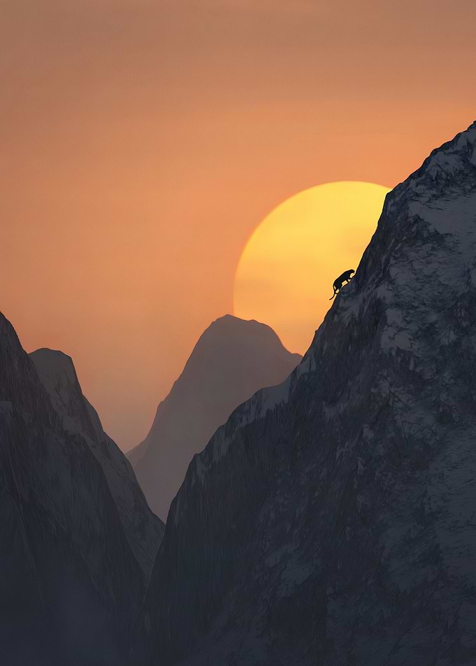 Black Panther at Dawn