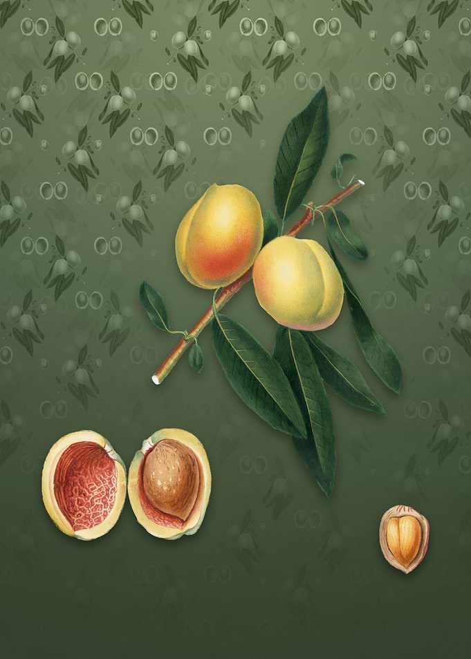 Peach on Lunar Green