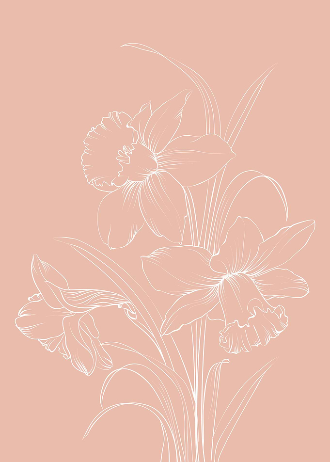 Narcissus Flower